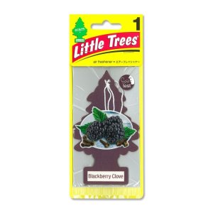 画像1: Little Tree エアーフレッシュナー　Black Berry