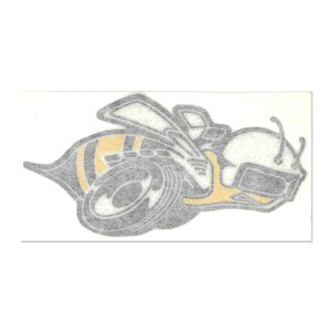 画像1: ホットロッド ステッカー 1971 Super Bee QTR Panel RH Decal