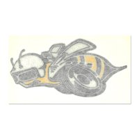 ホットロッド ステッカー 1971 Super Bee QTR Panel LH Decal