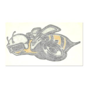 画像1: ホットロッド ステッカー 1971 Super Bee QTR Panel LH Decal