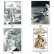 画像1: American Graffiti Printings with Autograph (A) (1)