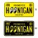 画像1: MOON x HOONIGAN EQUIPPED ライセンス プレート (1)