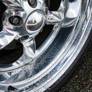 画像7: GOLD RUSH ビレット & メタル コート