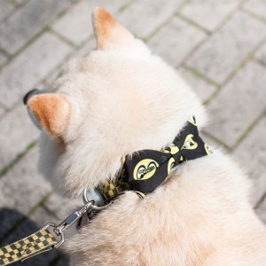 画像4: MOON パピー リボン