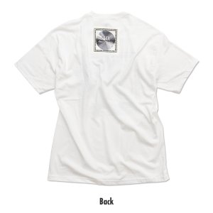 画像4: MOONEYES 40th Anniv. Square Logo Tシャツ