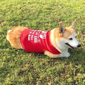 画像7: Take it Easy ドギー Tシャツ