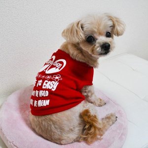 画像6: Take it Easy ドギー Tシャツ