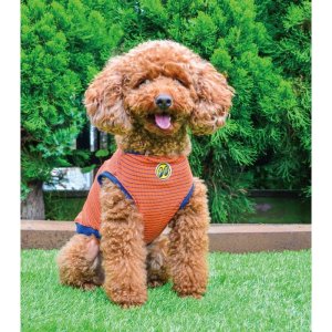 画像2: スモール ドッグ ムーン サーマル ストライプ Tシャツ 【小型犬用】
