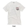 画像3: ピンストライプ ステューディオ T シャツ (3)