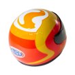 画像4: Jim Dunn Racing コレクティブル レプリカ ヘルメット (4)