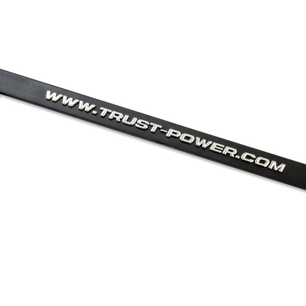 画像3: Raised TRUST GReddy ロゴ ライセンス プレート フレーム(クローム) (3)