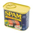 画像1: SPAM? (スパム?) Can 340g / Hormel Foods (1)