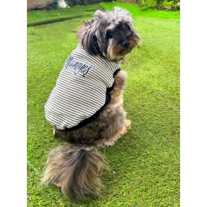 画像: ミディアム ドッグ ムーン サーマル ストライプ Tシャツ 【中型犬用】